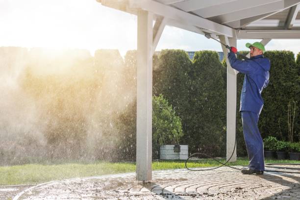 Best Graffiti Removal  in Davie, FL