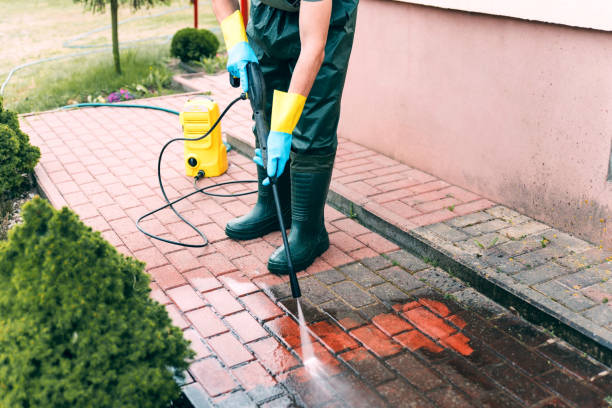 Best Dumpster Area Cleaning  in Davie, FL